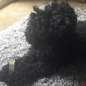 Meet your Posher, Deborah